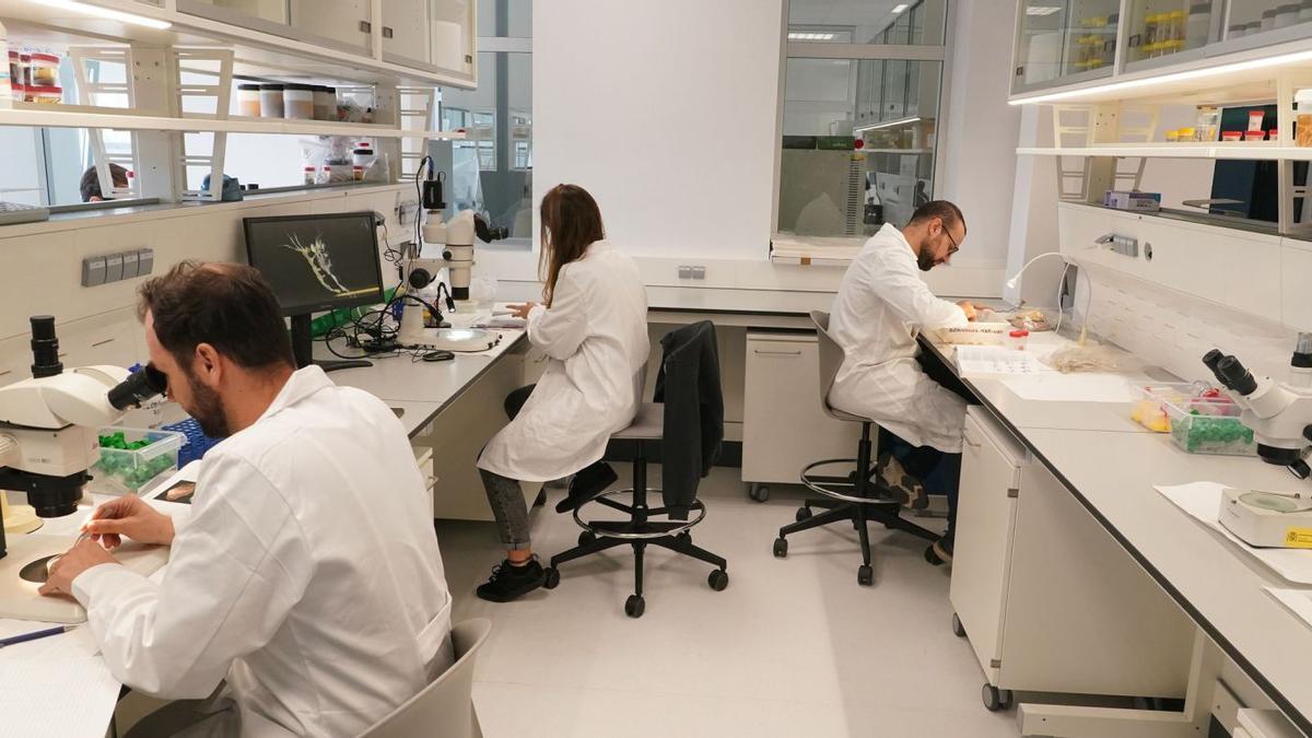 Científicos en un laboratorio de Málaga.