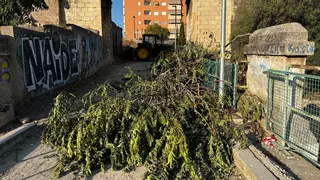 Alcoy pone en marcha su millonario proyecto de renaturalización urbana