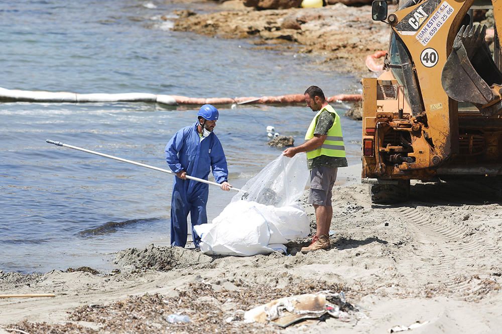 Frustrado el primer intento de sacar el 'Harmonya' de es Caló des Moro