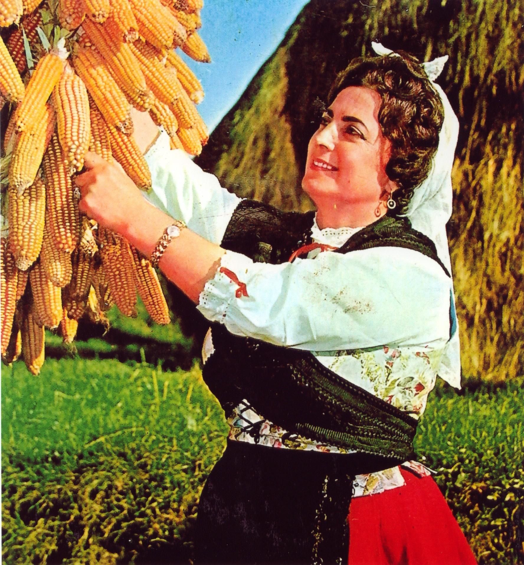diamantina 13.jpg
