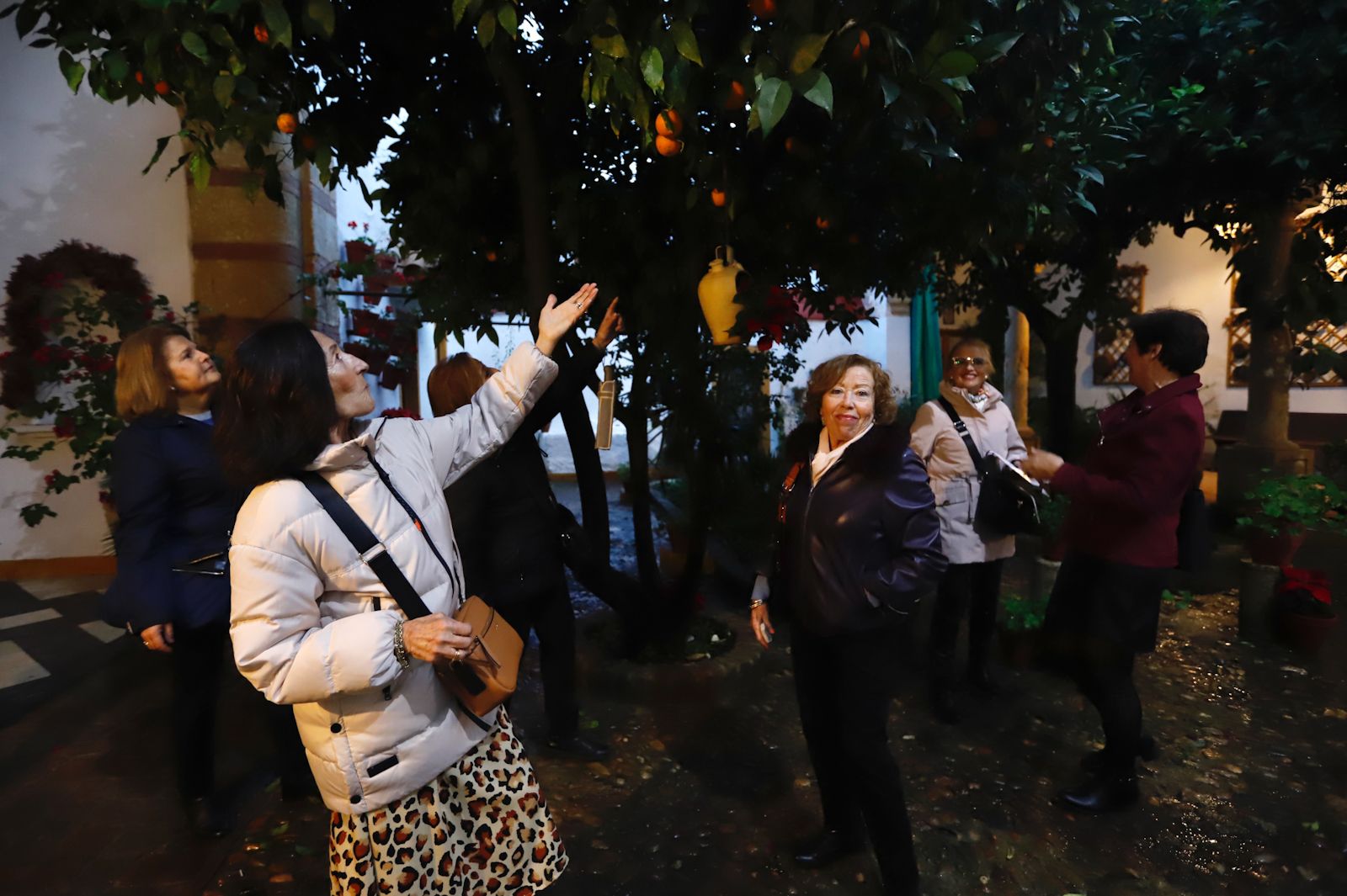 Los patios abren por Navidad pese a la lluvia