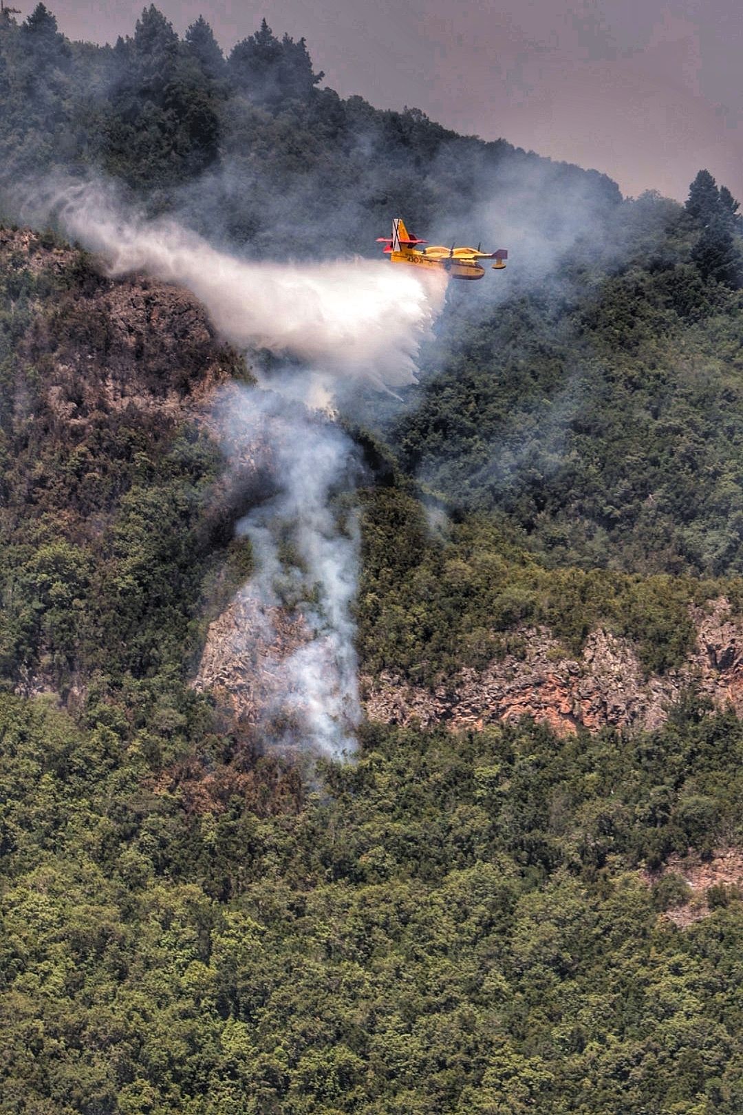 Labores de extinción del incendio en Tigaiga, Tenerife (26/07/2022)