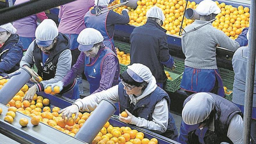 El empleo femenino crece más que el masculino sin romper la ‘brecha’ en Castellón