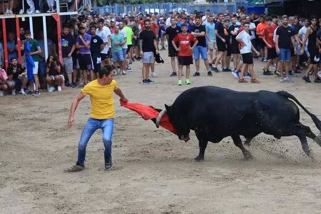 FOTOGALERÍA I Las imágenes de la segunda tarde taurina de las fiestas de la Mare de Déu de Gràcia de Vila-real