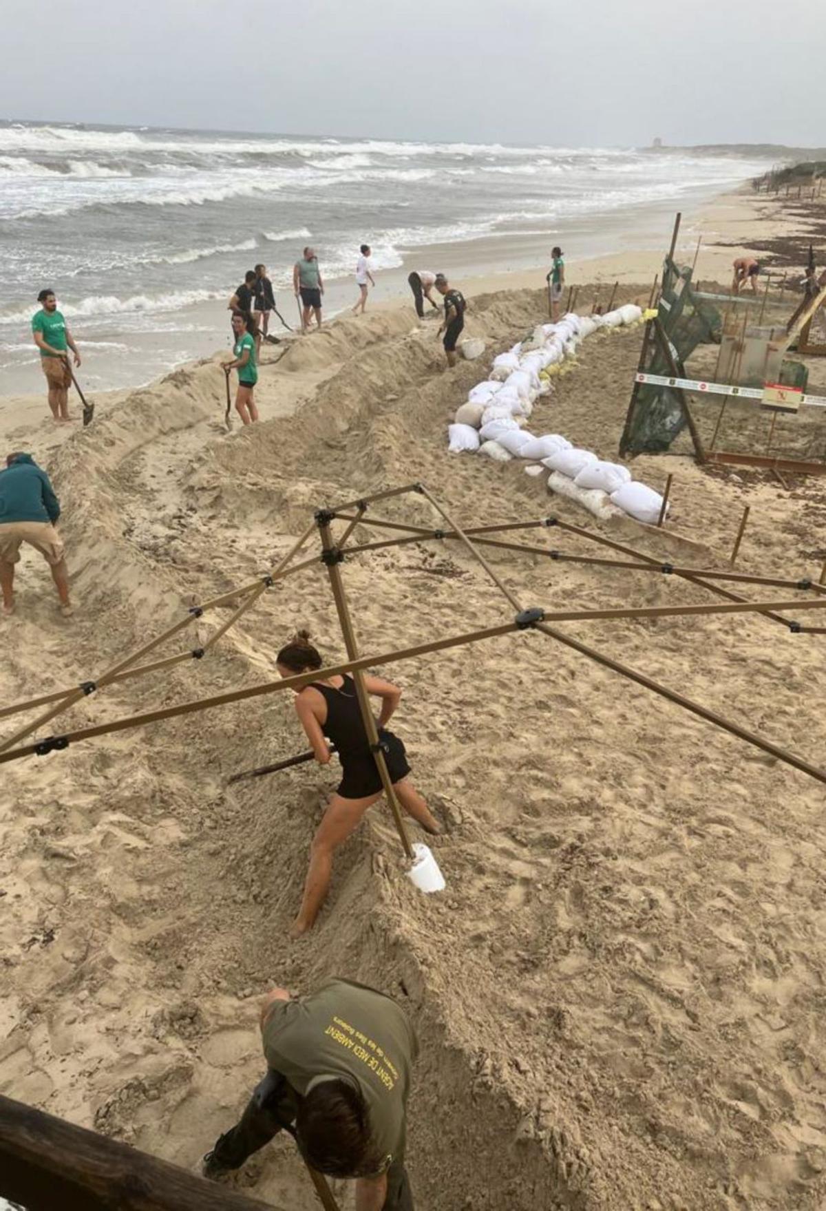 La lucha para evitar que el temporal acabe con el nido de tortugas
