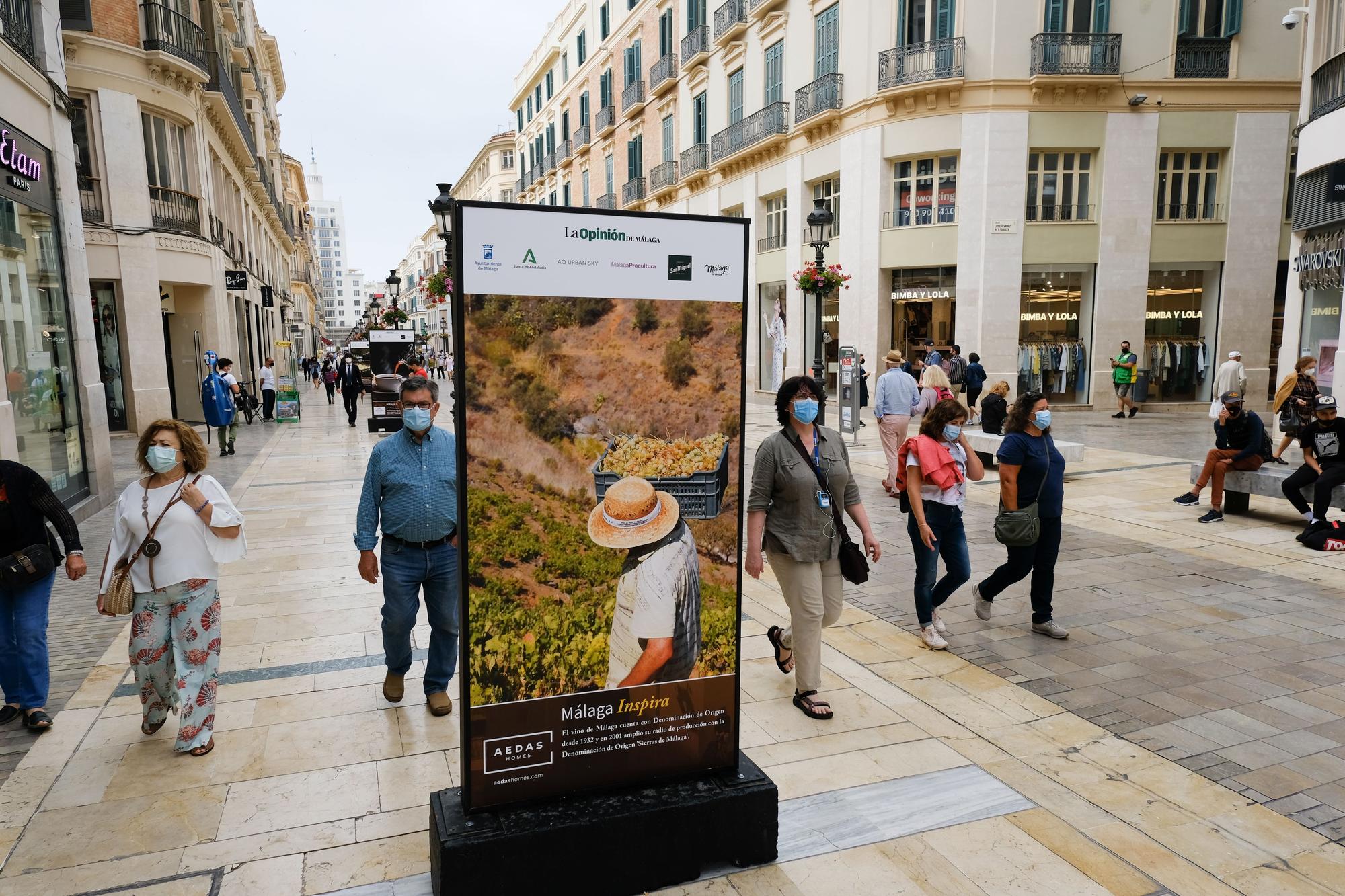 Exposición fotográfica 'Málaga Inspira', en la calle Larios