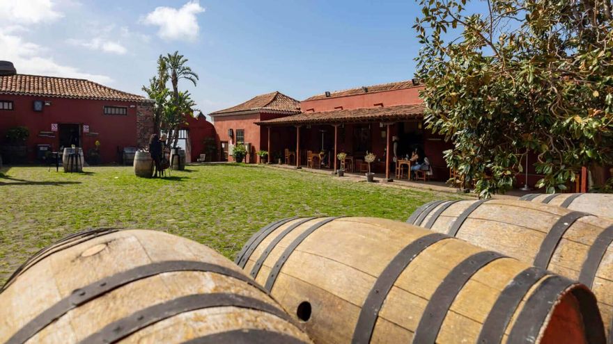 Ni el tiempo, ni las plagas: la historia de un vino canario que conquistó palacios y resistió al desastre
