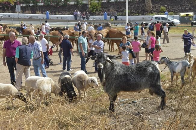 Muestra de ganado y feria de artesanía por las ...