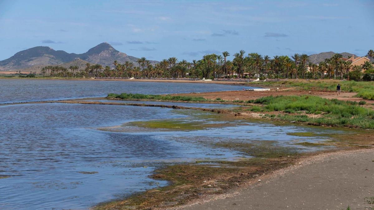 Aspecto del Mar Menor en la zona de Los Urritias, Cartagena.