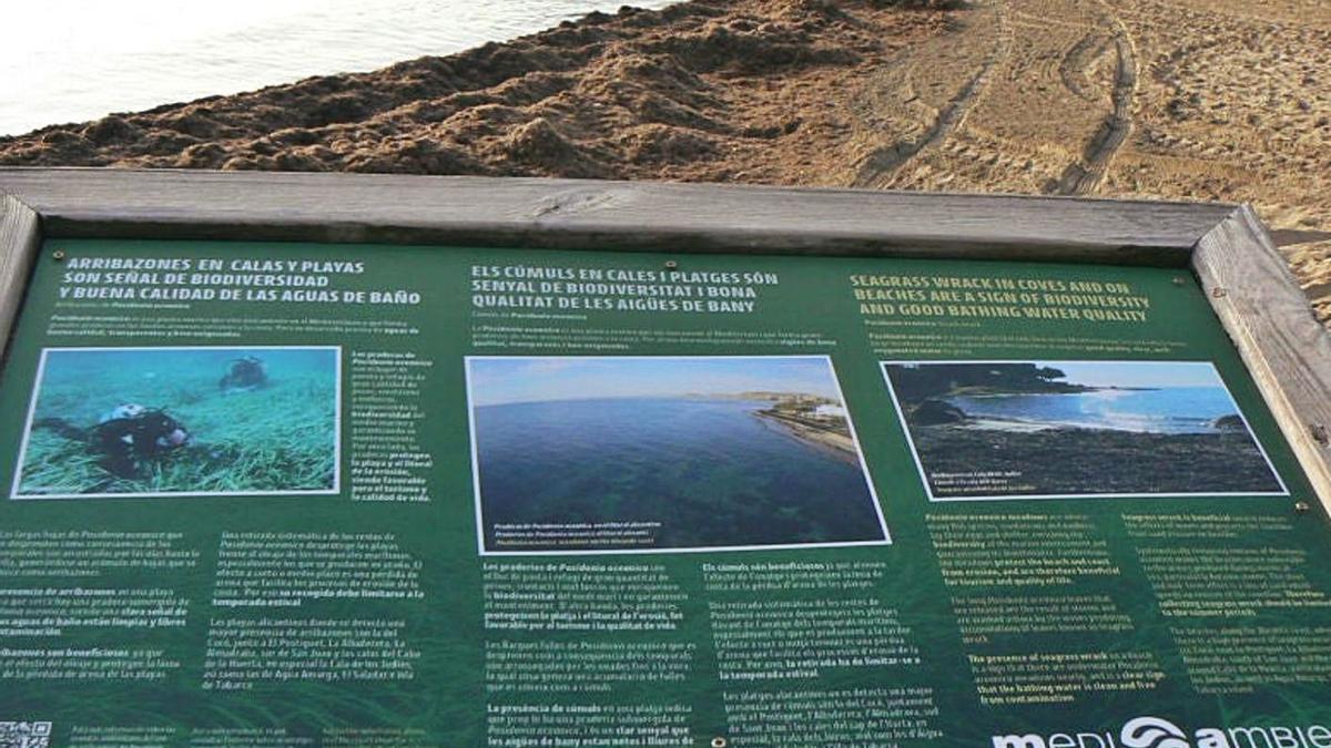 Se han renovado ocho paneles informativos situados entre las playas de Urbanova y el Cabo de la Huerta.