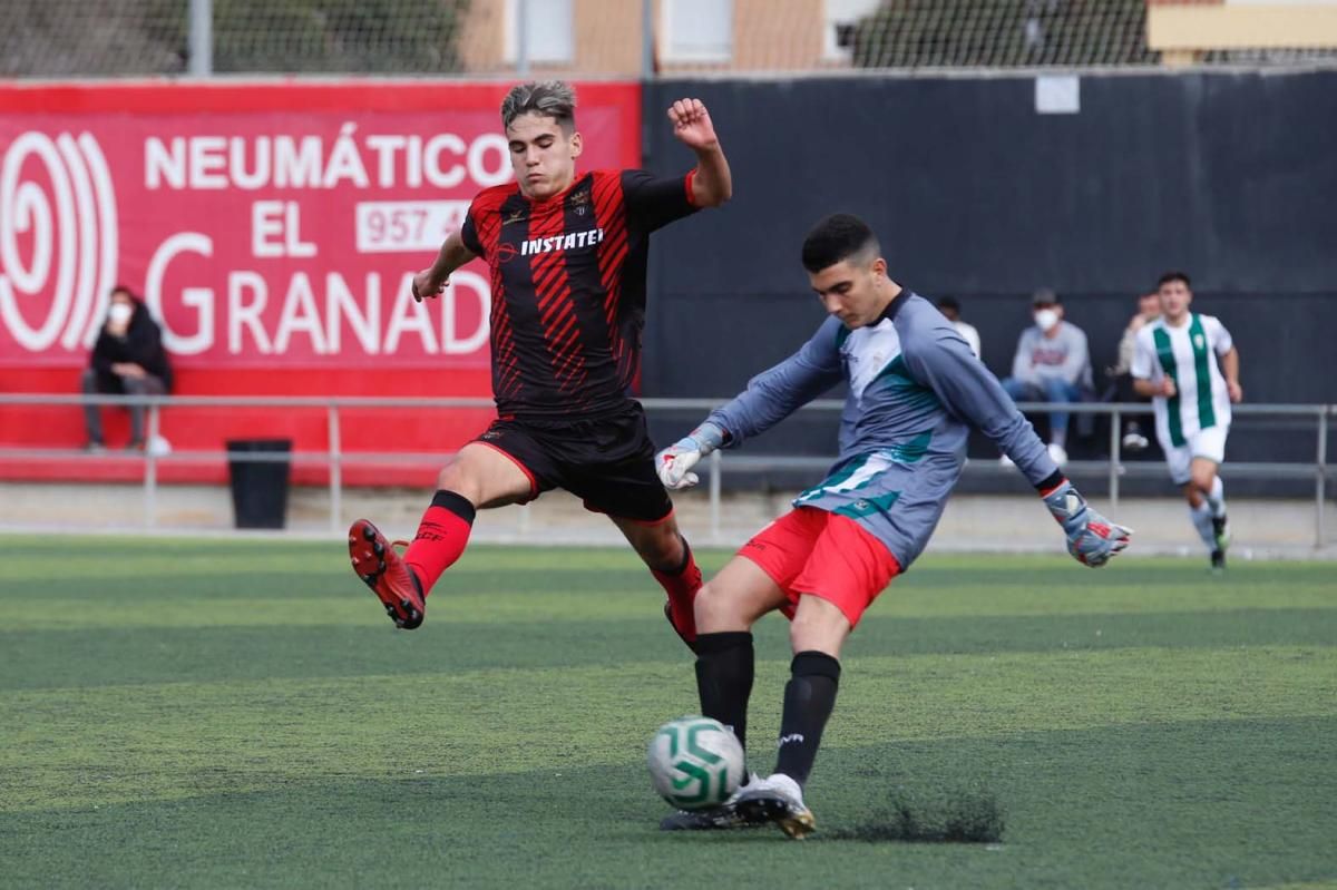 Séneca-Córdoba. Derbi de la División de Honor Juvenil.