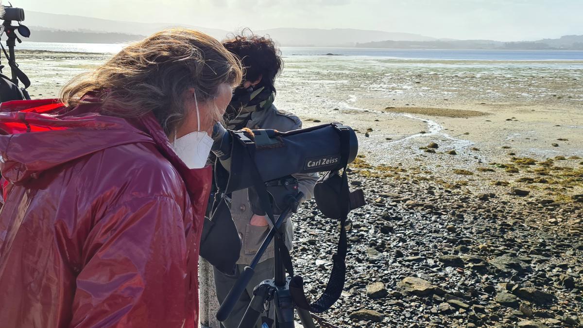 La concejala de Medio Ambiente, Ángeles Domínguez, en una jornada de observación de aves en la isla de A Toxa.