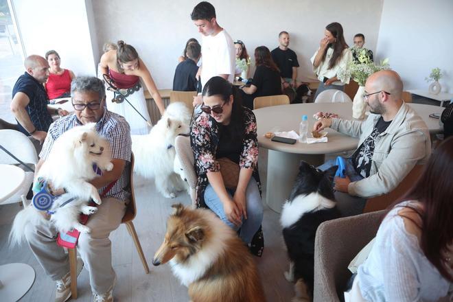 Sammy Cafe Pet