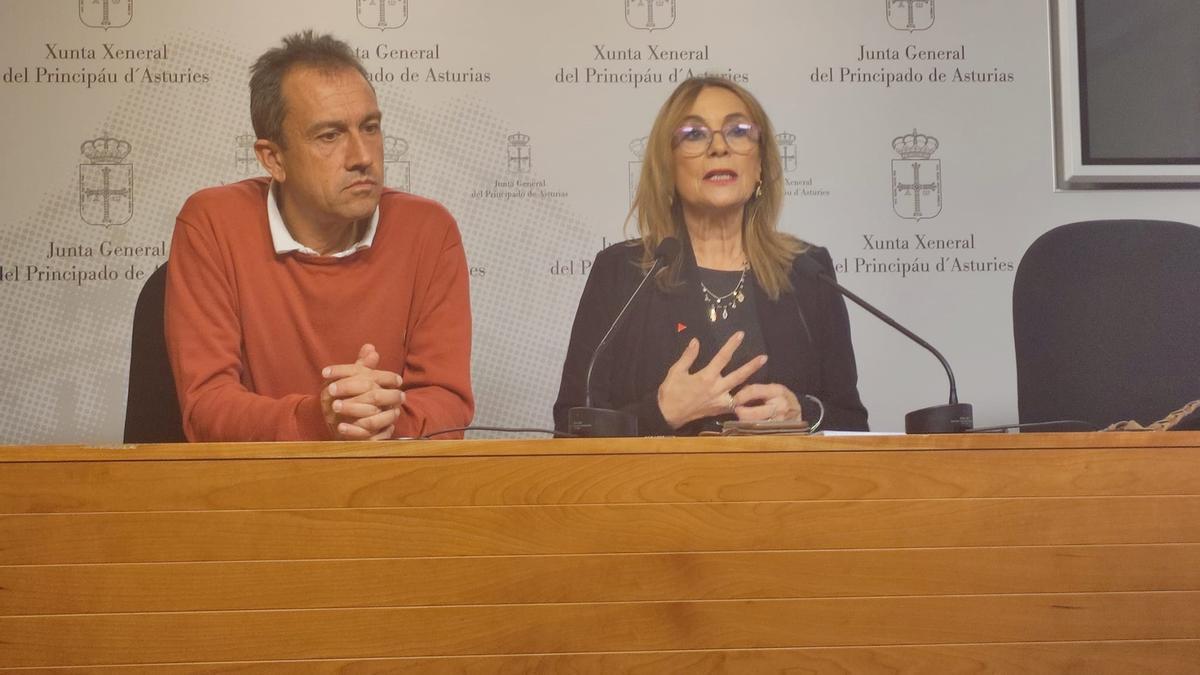Los diputados de IU Ovidio Zapico y Ángela Vallina