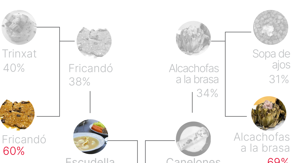 sorteo Cata Mayor plato de invierno GANADOR FINAL