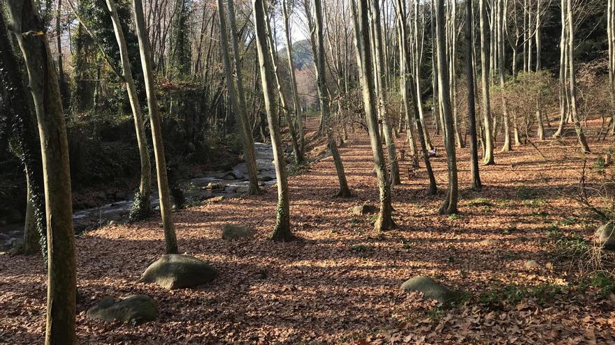 Arbúcies inicia les obres de millora integral del passeig de la Riera