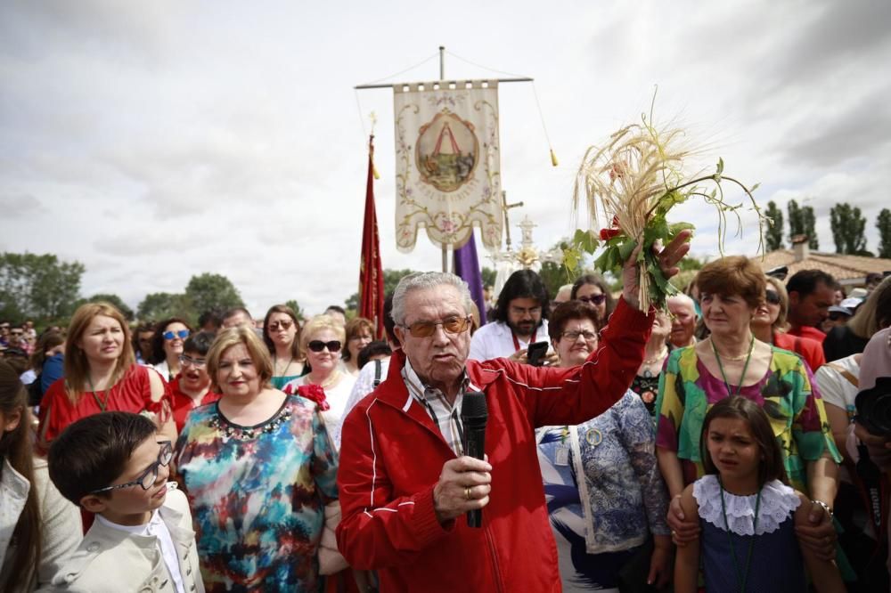 La Concha recorre el trayecto entre Zamora y el mu