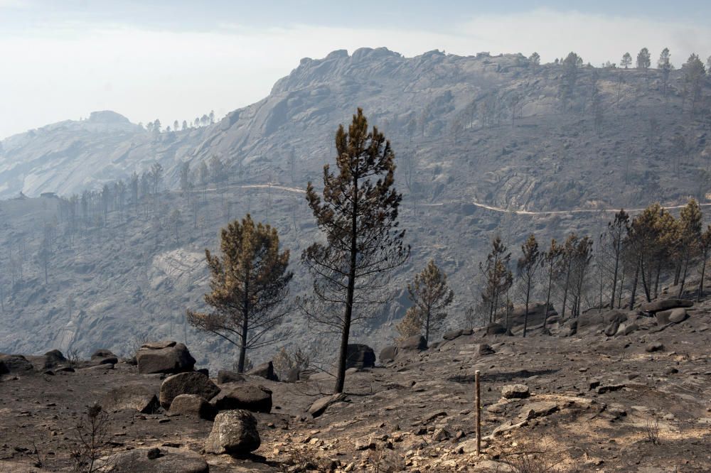 El fuego arrasa 3.000 hectáreas en Ourense