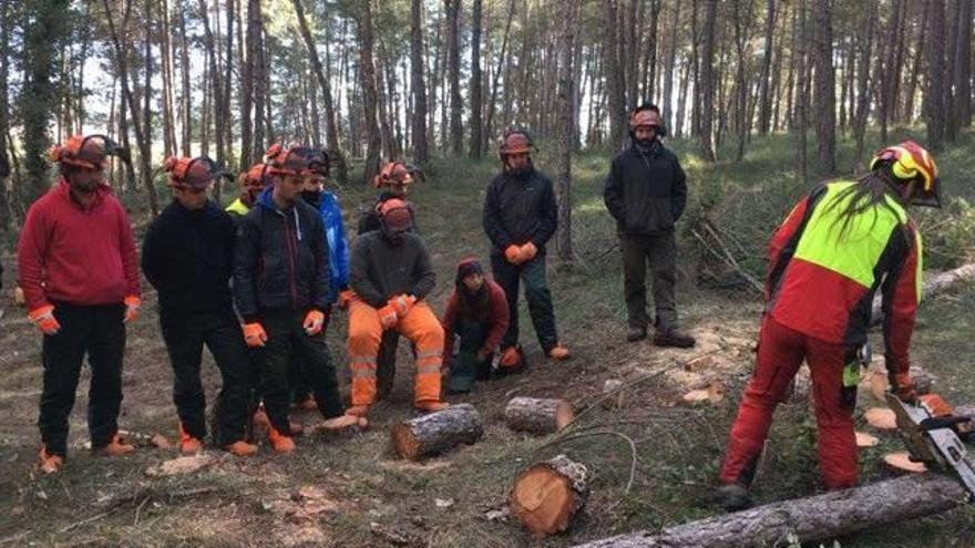 Alumnes del centre, al bosc