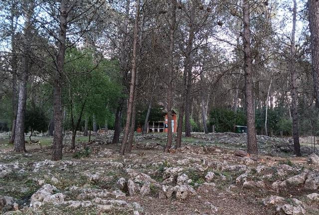 Una parcela privada en Villalonga.