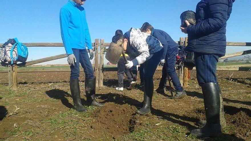 La laguna de Cinchadilla es objeto de un proyecto de reforestación