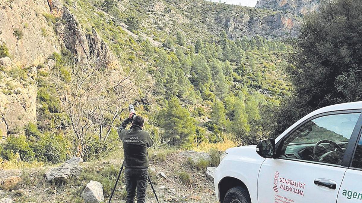 Un dels treballs d’observació de la cabra salvatge realitzat per professionals a la província de Castelló.