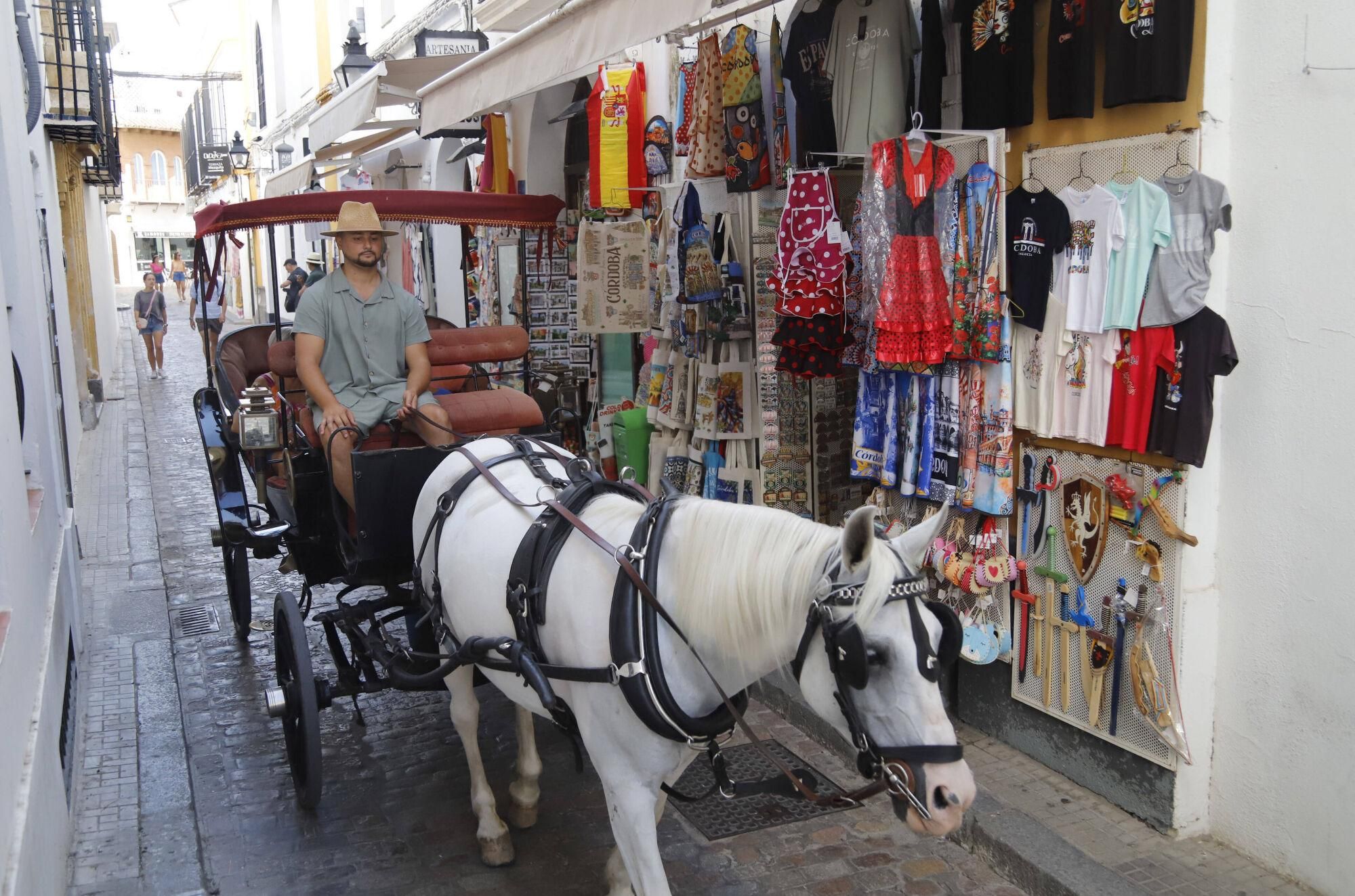 Los coches de caballos en Córdoba