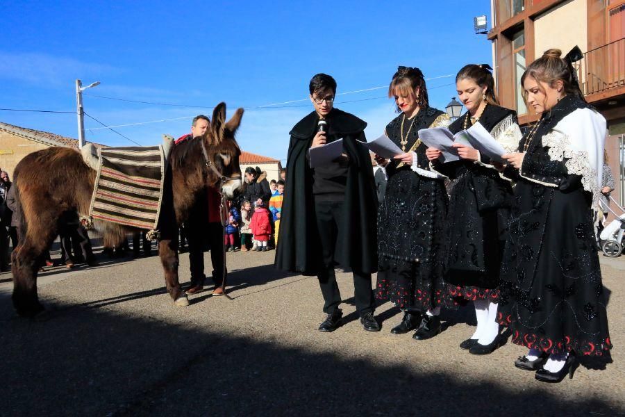 Monfarracinos celebra San Antón