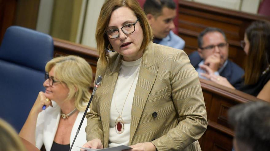 La consejera de Bienestar Social, Candelaria Delgado, en una intervención en el Parlamento canario.