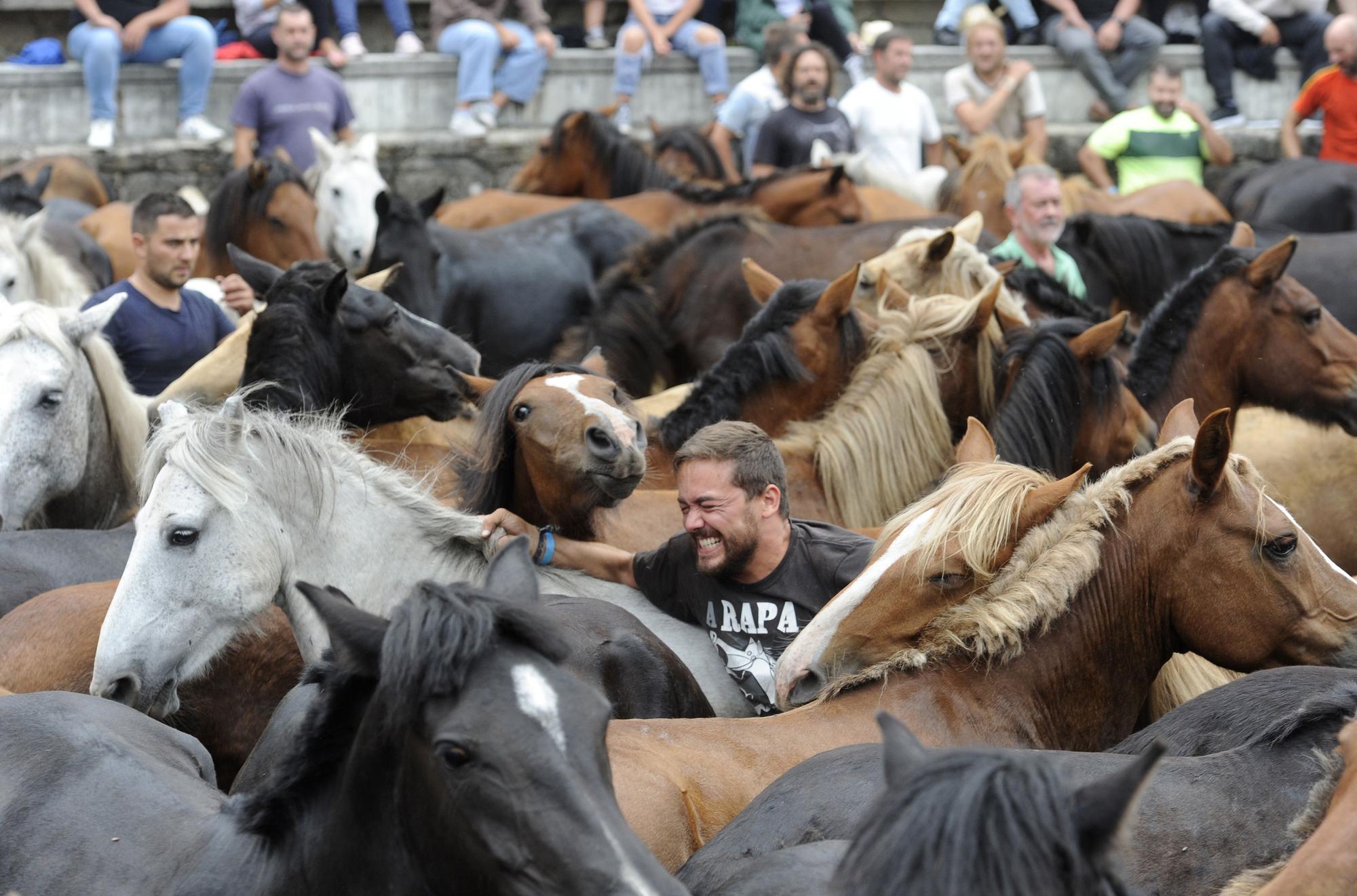 Rapa de alto voltaje en Sabucedo