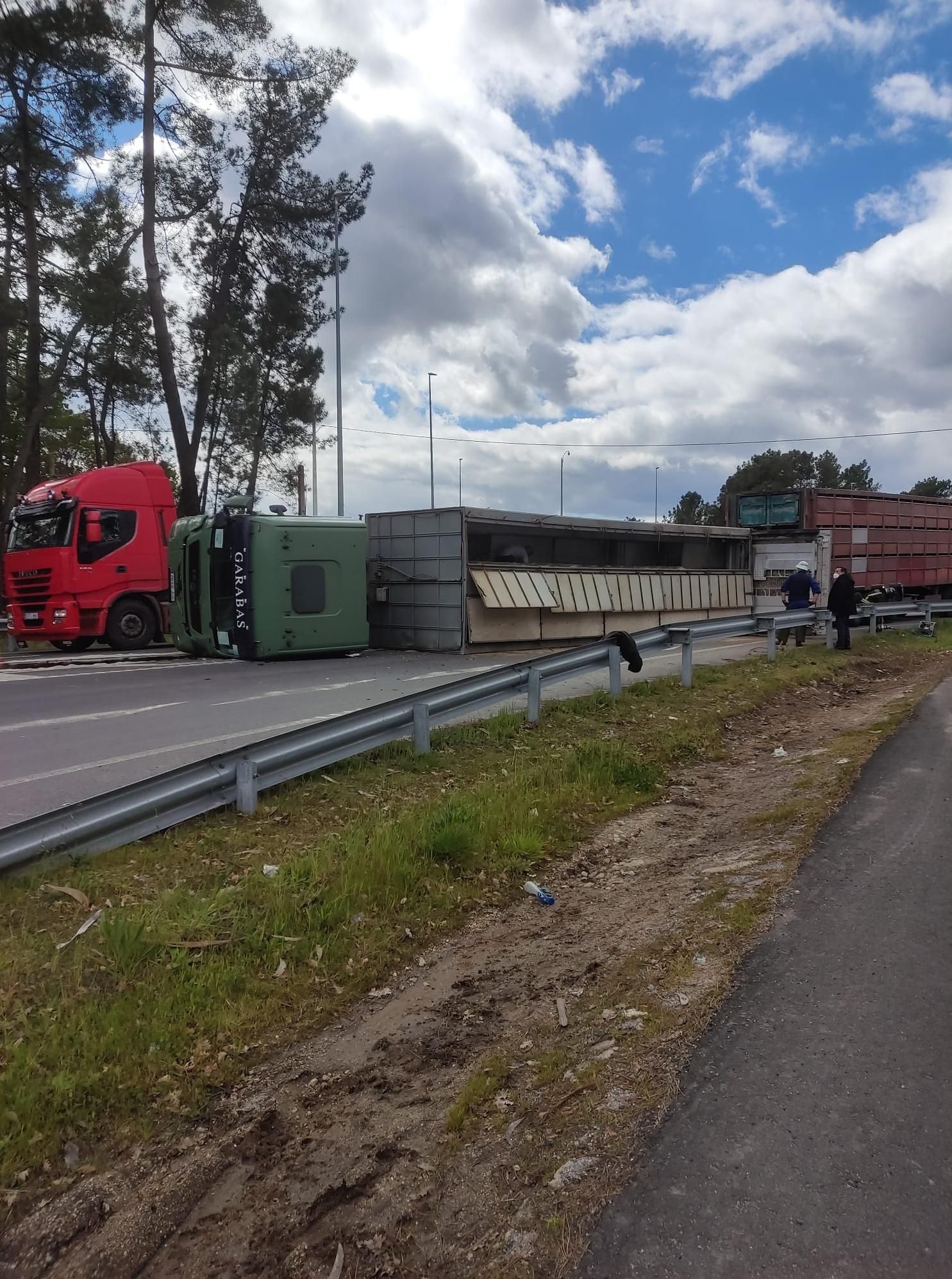 Un camión que trasnportaba más de 500 cerdos volcó este viernes en una carretera provincial de Ourense, a la altura de Ariz (O Carballiño).