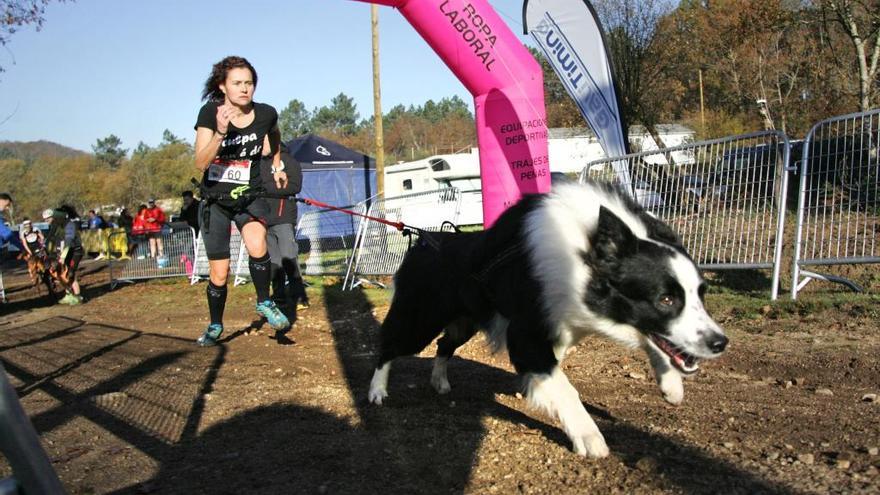 Copa de España de Mushing en A Estrada