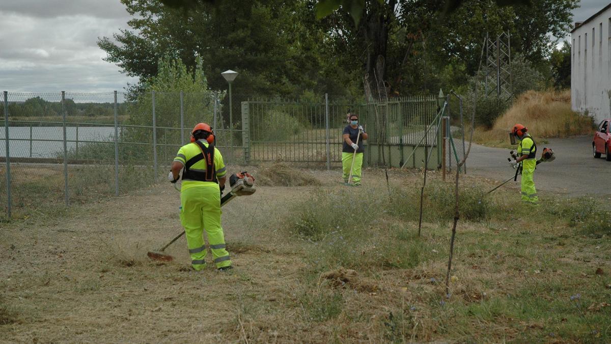 Varios trabajadores realizan tareas de limpieza.