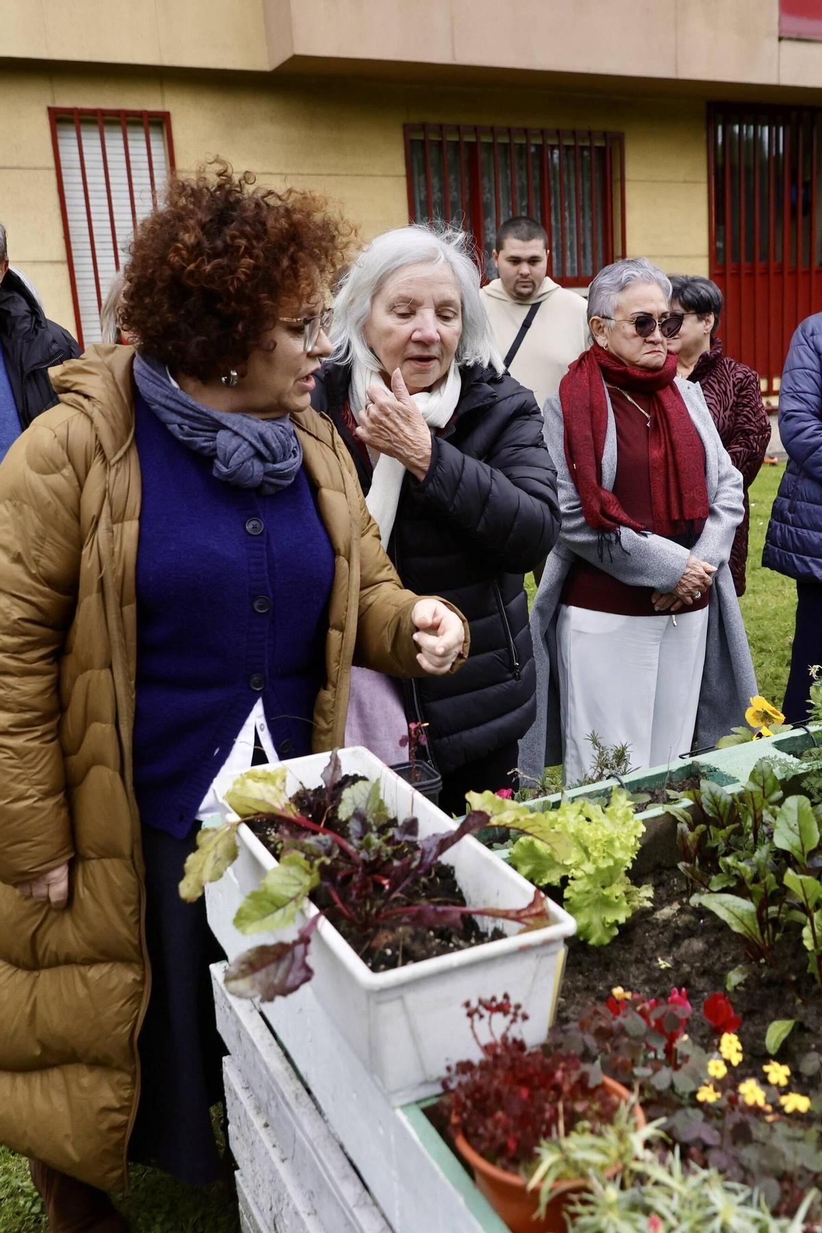 El nuevo huerto urbano de la zona oeste de Gijón, en imágenes