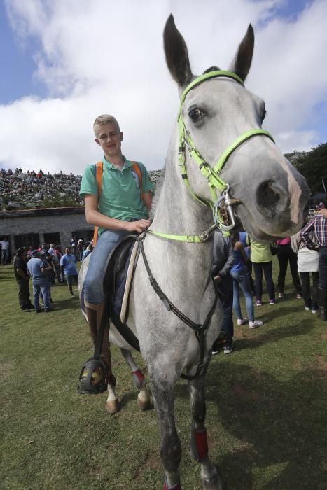 Fiesta del Asturcón en El Sueve