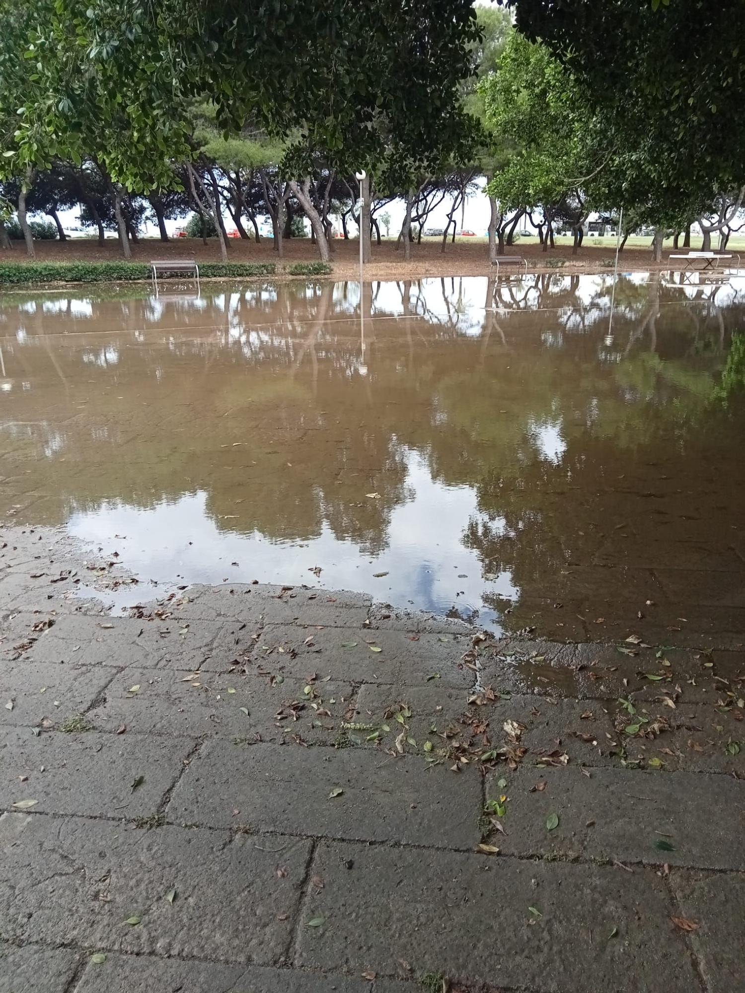 GALERÍA | Los efectos de la tormenta, en imágenes