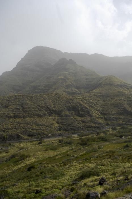 METEOROLOGIA. CALIMA.