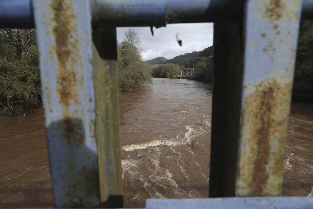 El río Nalón desbordado a su paso por Pravia y Quinzanas