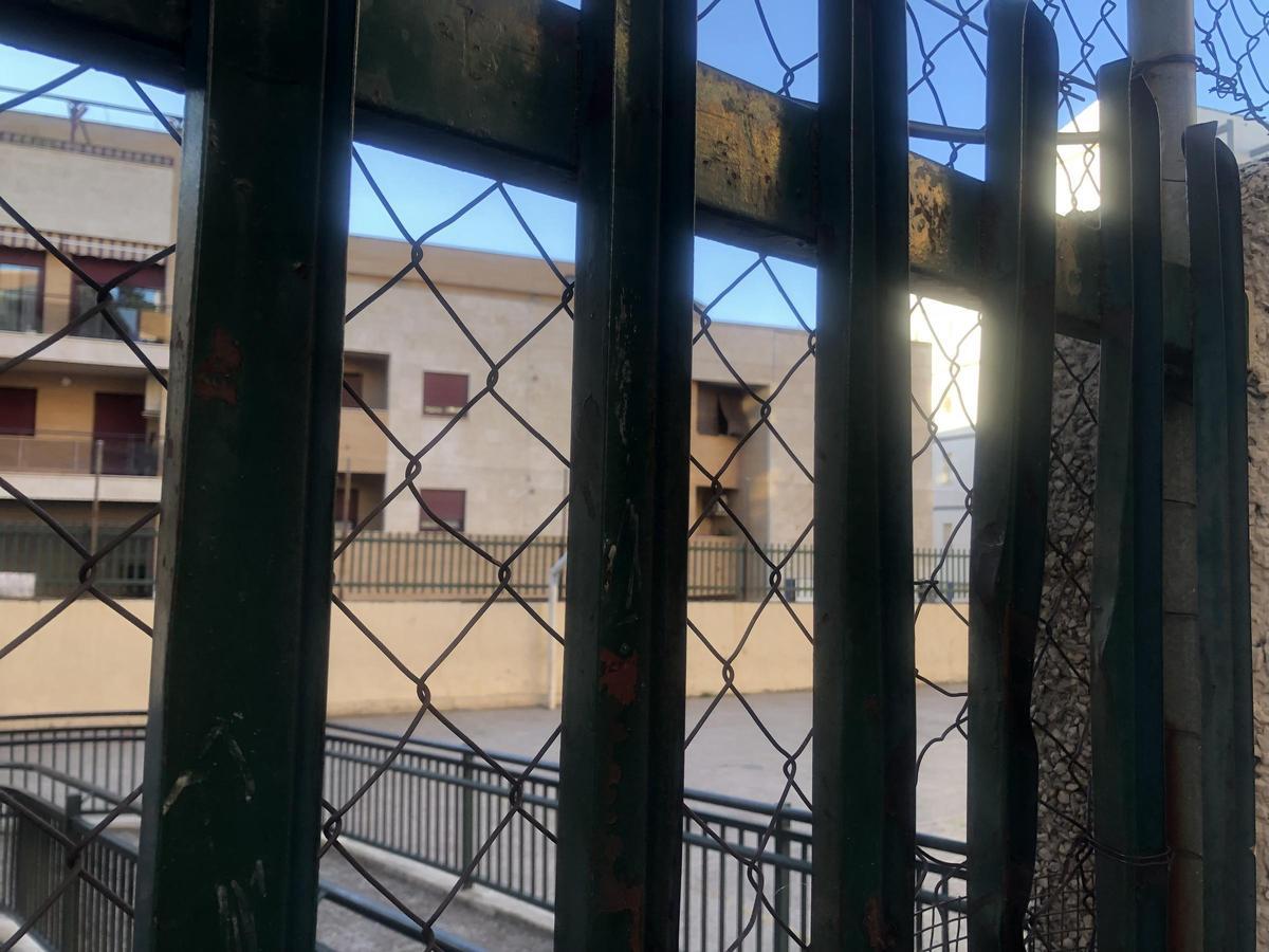 Fotogalería | La calle Alfonso IX de Cáceres