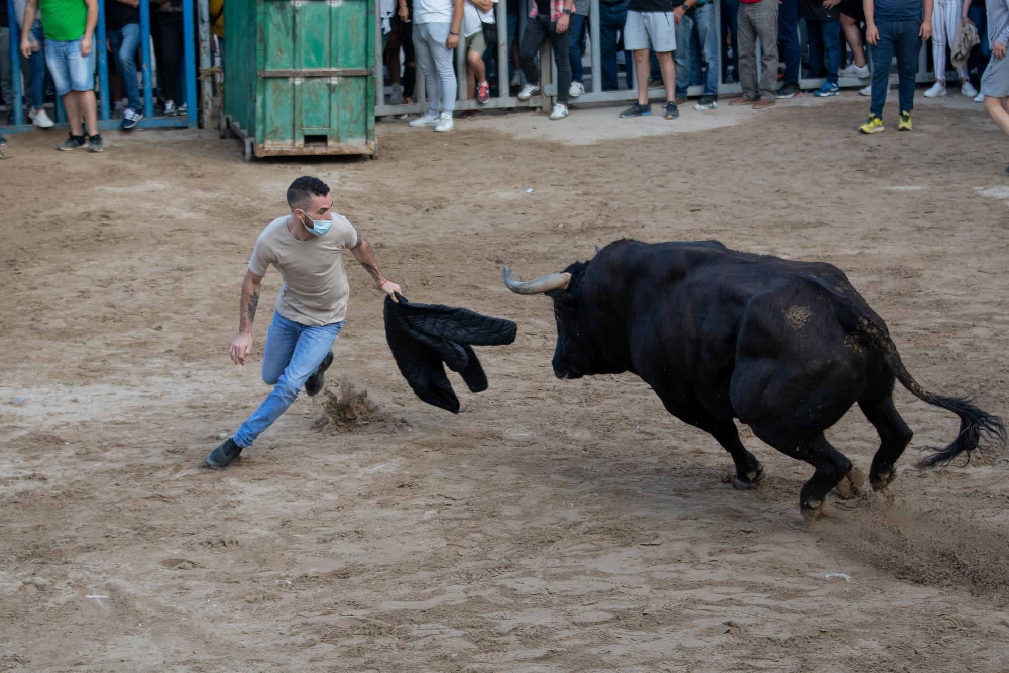 El tercer día de toros en Almassora, en imágenes