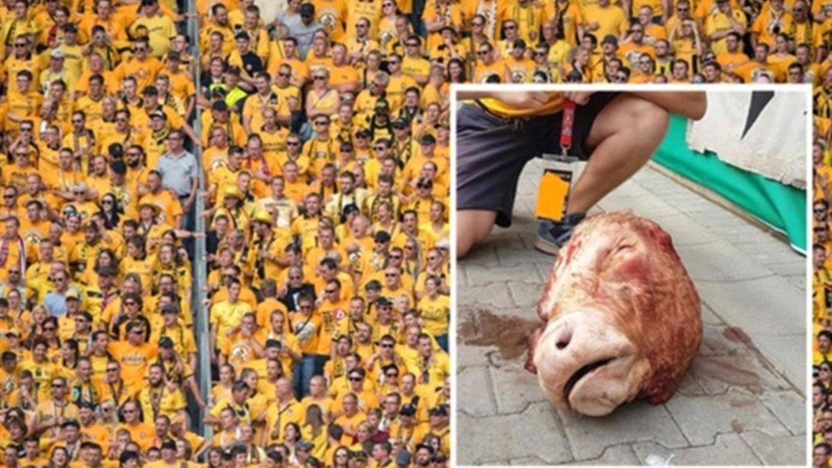 Los hinchas del Dynamo Dresden lanzaron una cabeza de toro durante el partido frente al RB Leipzig