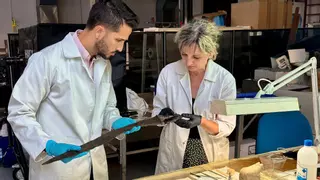 La Comunidad restaura la emblemática falcata íbera de ‘la cabeza de caballo’ del Museo del Cigarralejo