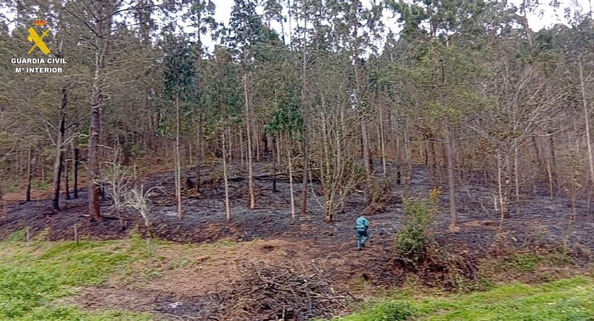 Superficie afectada por el incendio forestal de Miño.