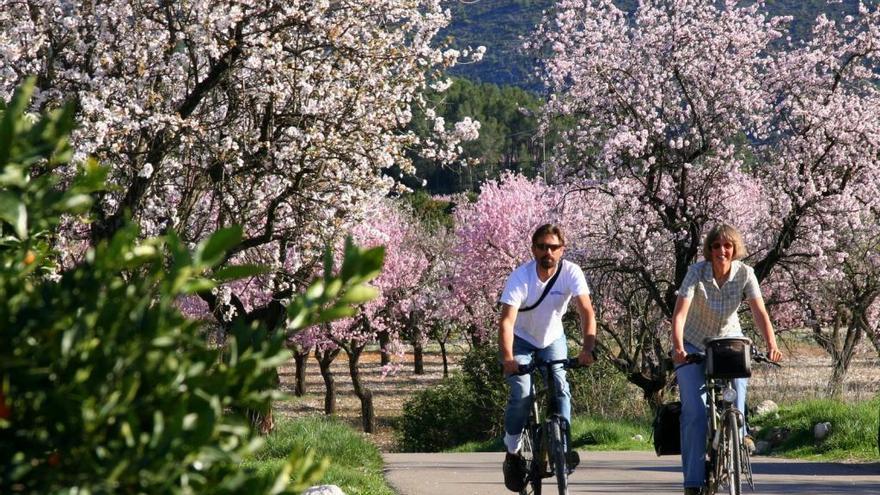 Llega el &quot;Feslalí, Alcalalí en flor&quot;, el gran festival de la almendra y su paisaje