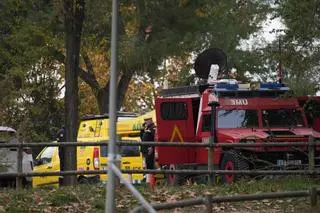 El precio del kilo de cerdo baja otros 10 céntimos, hasta los 1,10 euros, por la peste porcina