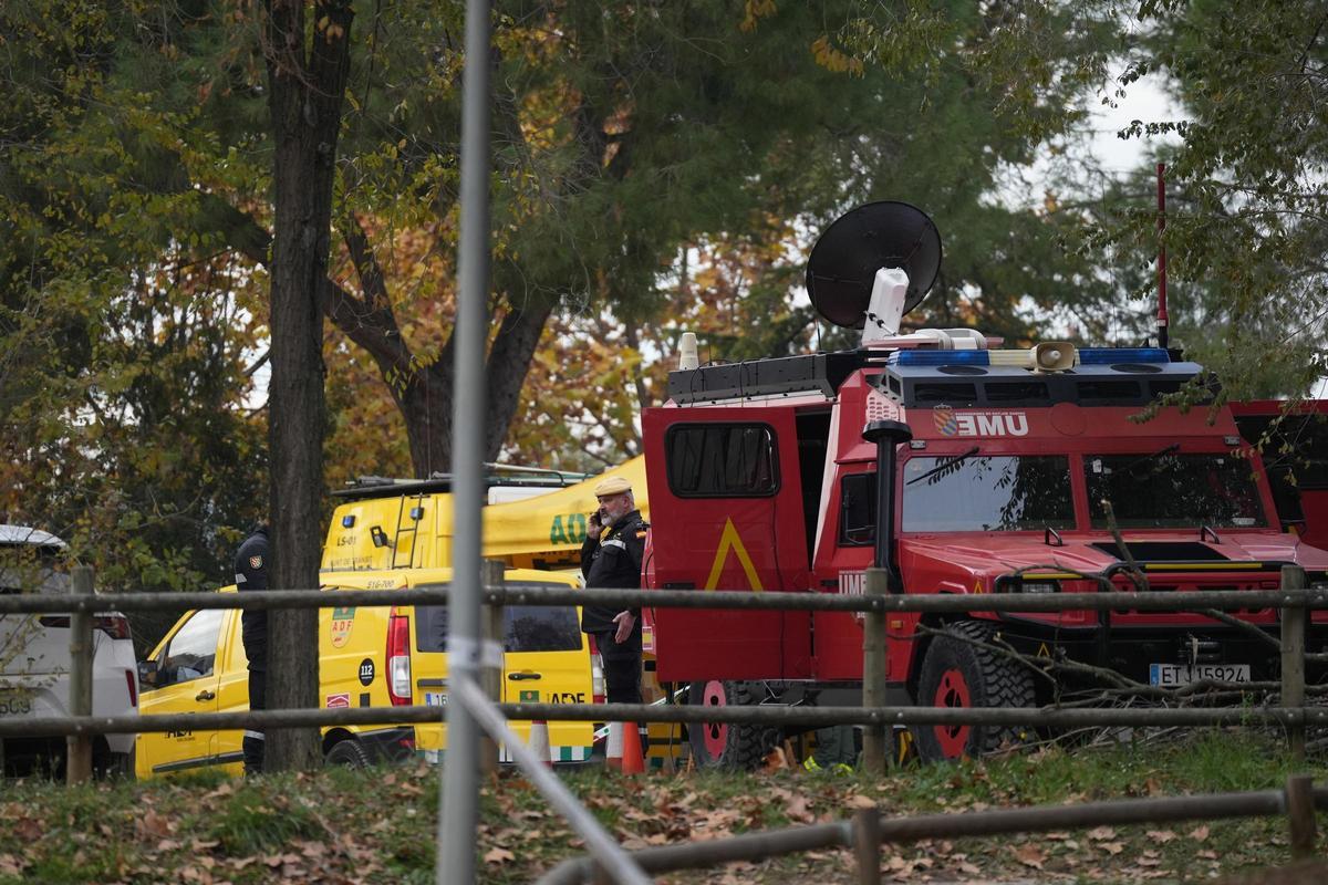 Снижается цена на свинину в Испании: кризис требует мер