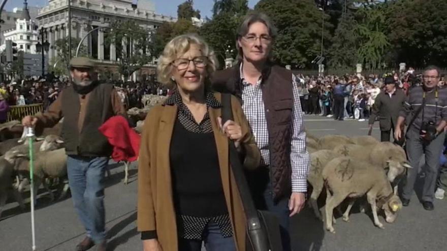 Las ovejas y cabras extremeñas ocupan la Gran Vía de Madrid