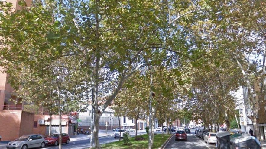 Encuentran una bolsa con una cabeza humana en un contenedor en Huelva