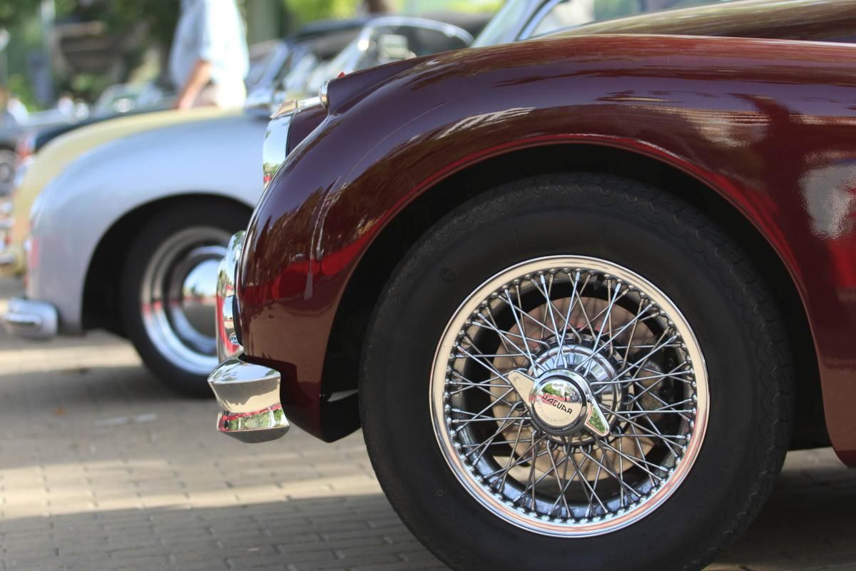 Fotogalería / Coches clásicos del Sotogrande Grand Prix llegan a Córdoba