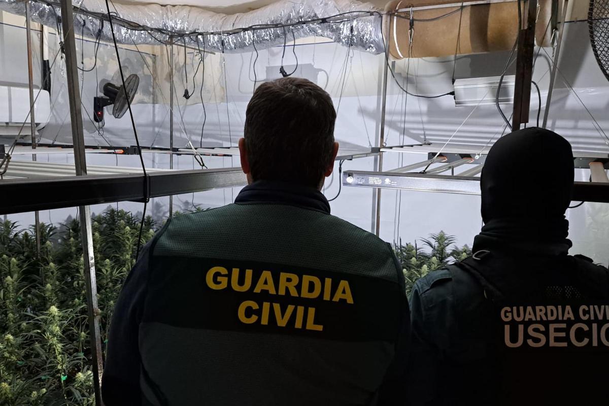 Imagen de la operación de la Guardia Civil Imagen de la operación de la Guardia Civil